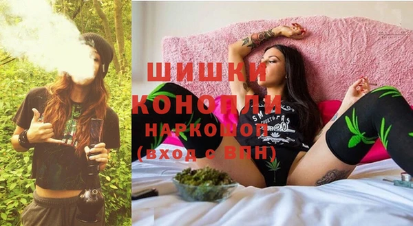 стафф Няндома