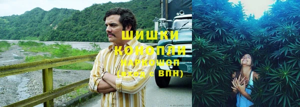 стафф Няндома
