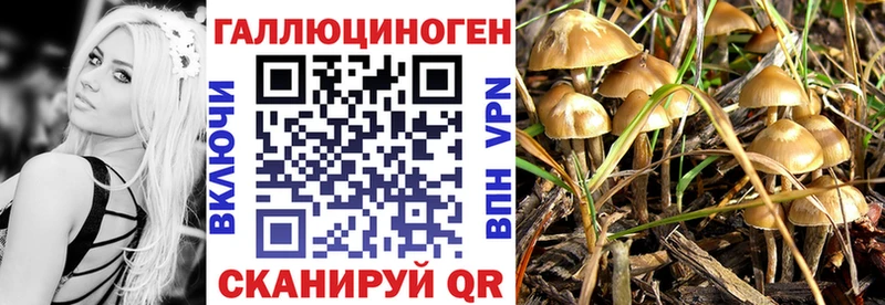 Псилоцибиновые грибы мухоморы  магазин    Петровск 