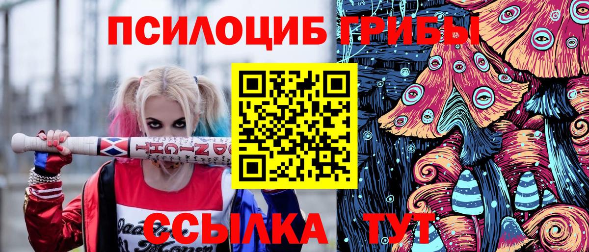 Галлюциногенные грибы мицелий Петровск