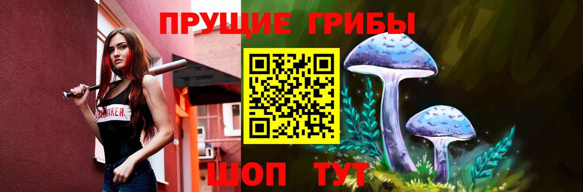 Псилоцибиновые грибы Psilocybine cubensis  закладка  Петровск  Галлюциногенные грибы Psilocybine cubensis 