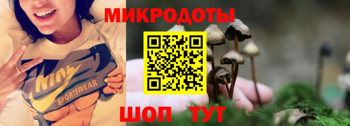 Петровск  Псилоцибиновые грибы прущие грибы  Галлюциногенные грибы Magic Shrooms  Вход с VPN 